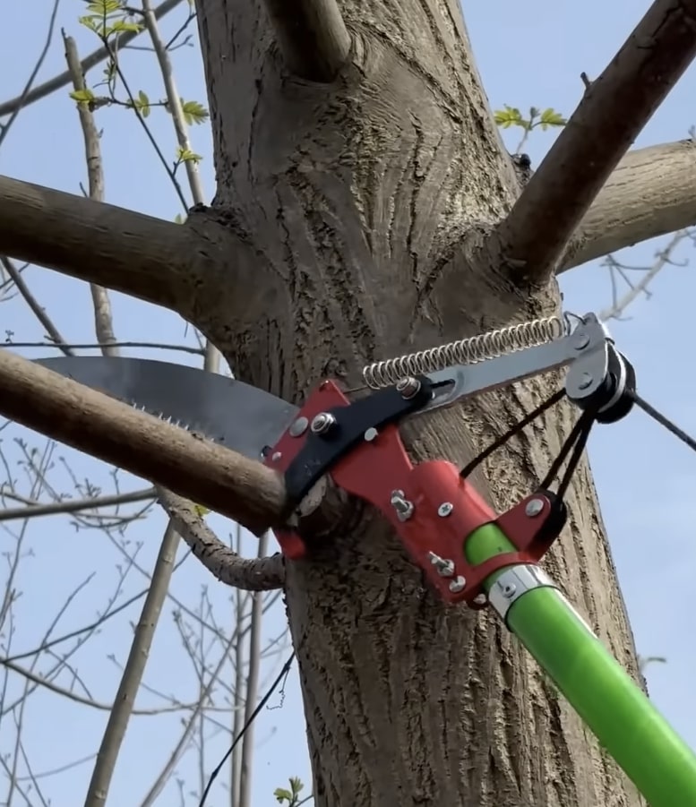 Professional tree pruning equipment and tools in Lake Forest, CA